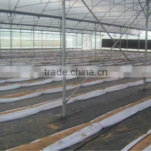 Hot Selling ! Agricultural Plastic Ground Cover thumbnail-1