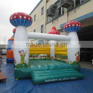 Best Selling Inflatable Bounce Castle Inflatable Combo for Children Quality Choice thumbnail-4