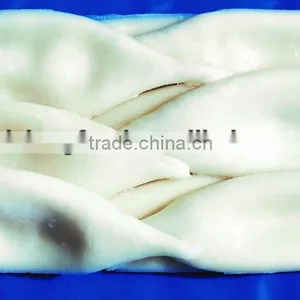 Frozen Squid Tube Todarodas Pacificus BQF thumbnail-1
