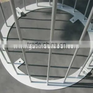 Akzo Nobel Powder Coated Metal Tree Grate Iron Tree Guard thumbnail-2