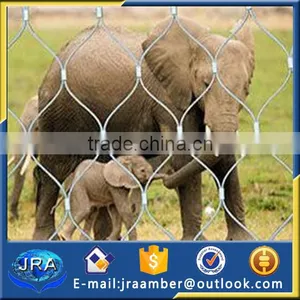 High Flexible Cable Mesh/Zoo Mesh/Cable Neting thumbnail-4