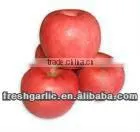 Famous China YanTai Best Price Fresh Fuji Apple thumbnail-5
