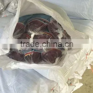 HDPE Woven Net(Best Price With High Quality,short Delivery Time and Good Aftersales Service) thumbnail-5