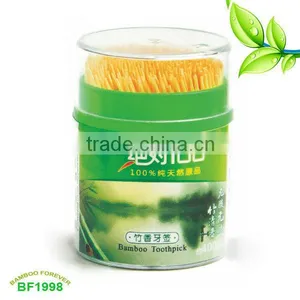 Single Point Natural Bamboo Toothpicks thumbnail-1