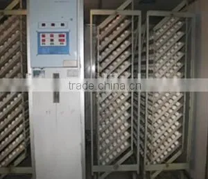 Automatic Egg Hatcher Incubator thumbnail-6