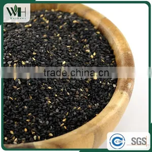 Paraguayan Sesame Seeds Manufacturers thumbnail-2
