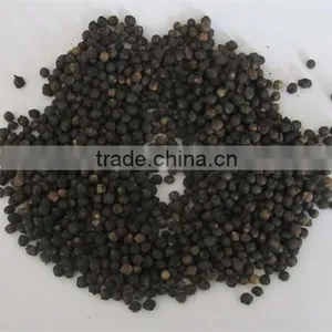 Malabar Spinach Seeds Vegetable Seeds for Planting thumbnail-6