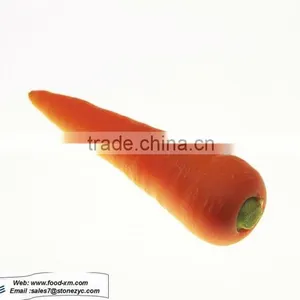 Chinese Hot Selling Fresh Carrot thumbnail-1