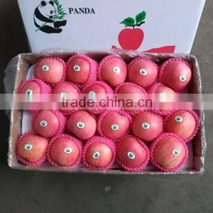 China Yantai Best Price Fuji Apple thumbnail-3