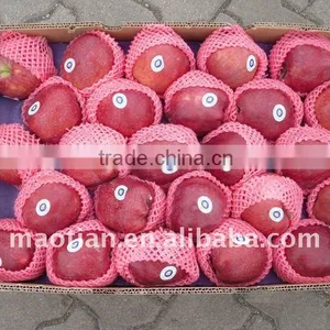 Huaniu Apples thumbnail-1