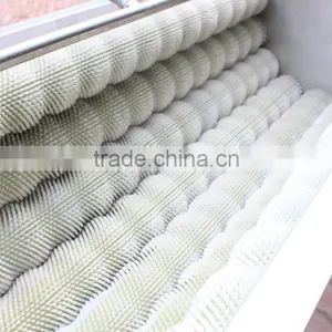 2016 New Type Peeler Type Potato Processing Washing Washer Machine / Equipment With 8 Pcs Brushes thumbnail-6