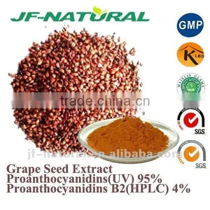 Grape Seed Extract High Content Opcs Manufacture ISO, GMP, HACCP, KOSHER, HALAL Certificated thumbnail-1