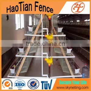 Galvanized Chicken Egg Layer Cages Design in South Africa thumbnail-5