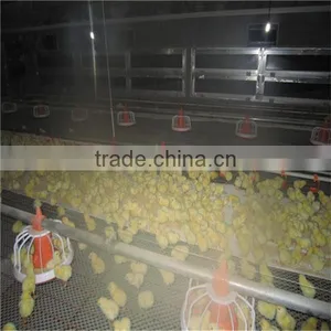 Chicken Automatic Drinker thumbnail-5