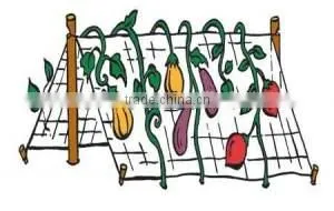 High Quality Climbing Plant Support Net (PP, PE) thumbnail-1