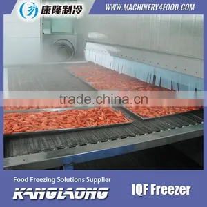 Large Output Freezing Plant With Good Quality thumbnail-4