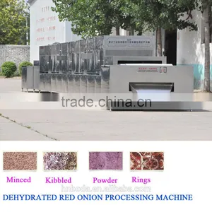 DEHYDRATED RED ONION Processing Machine thumbnail-1