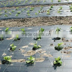Black or Black/silver or Black/white Mulch Film for Agriculture thumbnail-1