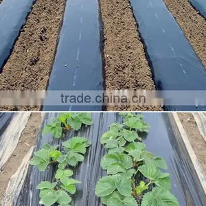 Agricultural Plastic Black Builders Mulch Film for Weed Control thumbnail-2