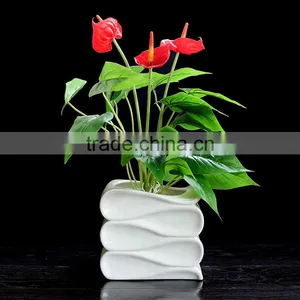 New Design Small Indoor Decor White Ceramic Succulent Pots Mini thumbnail-3