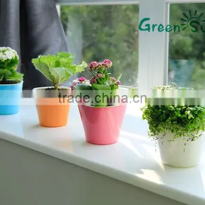 High Quality Colorful Small Mini Decorative Plastic Flowers Pot Home and Office Decoration thumbnail-1
