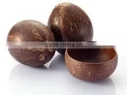 Natural Coconut Bowl / Vietnam Wholesale Cheap Price Lacquer Coconut Shell Bowl thumbnail-1