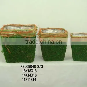 Moss Flower Pot 09048 thumbnail-1
