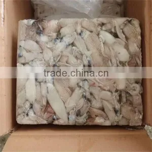 Frozen Fresh Squid for Sale thumbnail-1