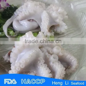High Quality Price Baby Octopus thumbnail-3