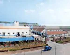 Shandong Wheatsun Food Co., Ltd. company overview - view 1 thumbnail