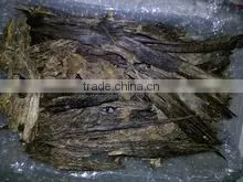 Combodi / Verma Imported Agarwood Oil thumbnail-2
