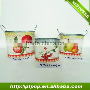 Newest Metal Zinc Flower Pot With Printing thumbnail-1