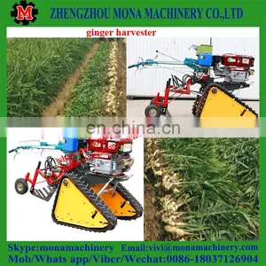 Ginger Digger/Ginger|Chinese Medicine|potato Digger Price thumbnail-2
