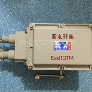 Explosion-proof Travel Switch Weight Switch Universal BLX11 LX510-12 BLXK501-10 LX510-32 Double Beam Weight Limiter thumbnail-1