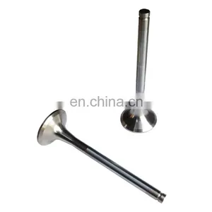 Sinotruk HOWO Truck Engine Parts Intake Valve VG1560051001 thumbnail-1