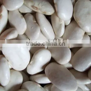 White Kindney Bean Extract thumbnail-1