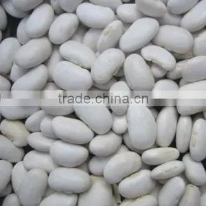 Organic White Kidney Bean thumbnail-1
