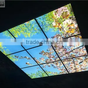 2015 Led Sky Ceiling Panel Blossom Image thumbnail-3