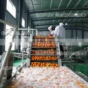 Dried Fruits Production Plant Peach Fruit Drying Equipment Machines thumbnail-3