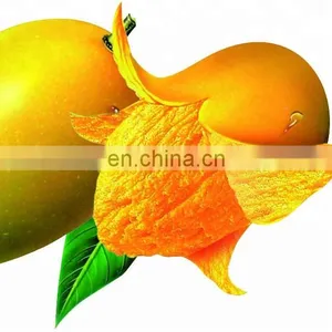Shanghai Factory Industrial Fruit Pulper / Mango Pulping Machine / Fruit Jam Making Machine Vegetable Tomato Paste Equipment thumbnail-1