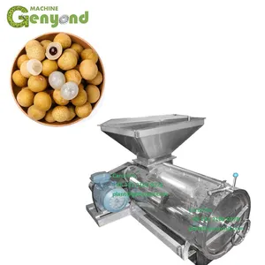 New Design Small Longan Peeling Peeler Nuclear Removal Machine for Extracting Juice thumbnail-1