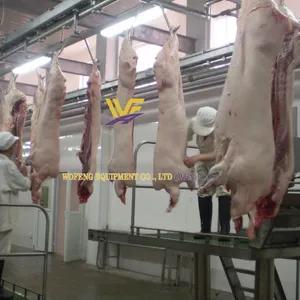 Factory Direct Turnkey Bovine Slaughter Line Cattle Stunning Box Dehiding Machine Splitting Saw Overhead Conveyor Rail Abattoir System thumbnail-5