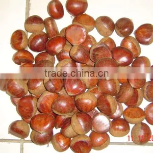 Chinese Chestnuts for Sale thumbnail-1