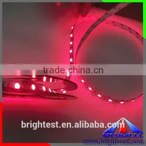 300leds 5050 Led Strip Red Color 24vdc thumbnail-1