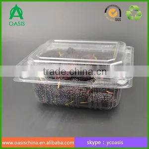 Food Grade 250g Plastic Strawberry Punnet thumbnail-4