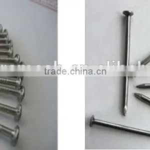 Common Round Iron Wire Nails Factory/Common Nails thumbnail-3