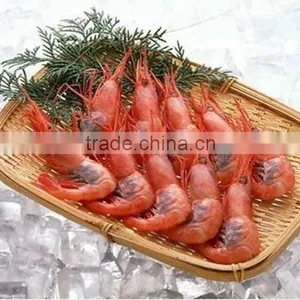 Convenience to Install 3000kg Cube Ice Machine to Frozen Fish thumbnail-1