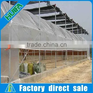 8m Width Multi-span Plastic Film Tunnel Vegetable Greenhouses for Sale thumbnail-4