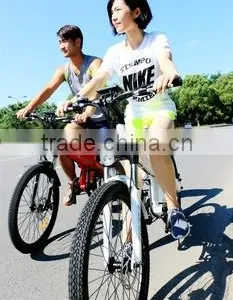 Seagull,highly Appreciated 26 Inch New Experience 500watt Ebike thumbnail-2