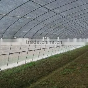 Anti Insect Net Factory Price thumbnail-1